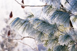 11 10-Feb-13 09-26-40 D300 060